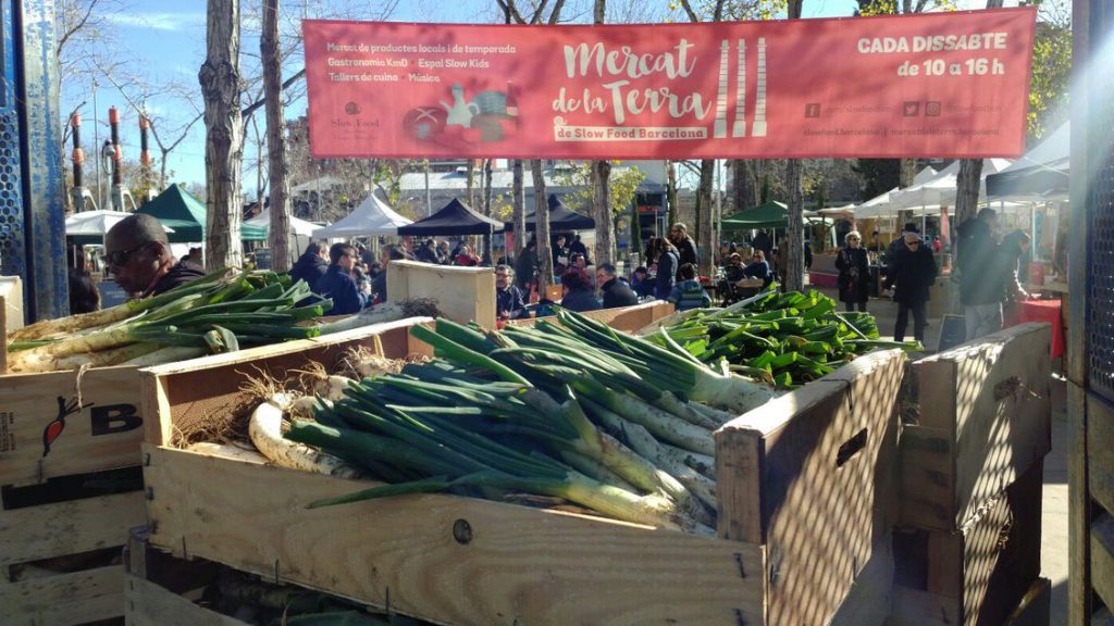 Calçots al mercat de la Terra, slow food market